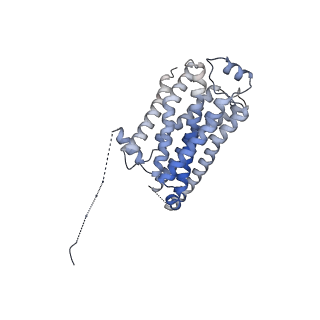 10515_6tko_A_v1-2
Phosphorylated turkey beta1 adrenoceptor with bound agonist formoterol coupled to arrestin-2 in lipid nanodisc.