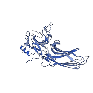 10515_6tko_B_v1-2
Phosphorylated turkey beta1 adrenoceptor with bound agonist formoterol coupled to arrestin-2 in lipid nanodisc.