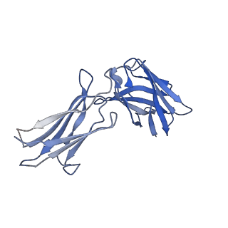 10515_6tko_H_v1-2
Phosphorylated turkey beta1 adrenoceptor with bound agonist formoterol coupled to arrestin-2 in lipid nanodisc.