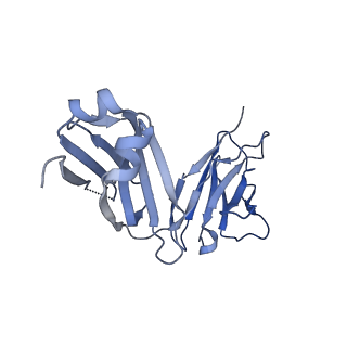 10515_6tko_L_v1-2
Phosphorylated turkey beta1 adrenoceptor with bound agonist formoterol coupled to arrestin-2 in lipid nanodisc.