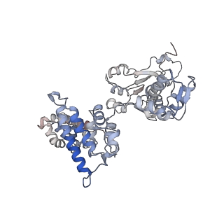 25615_7tku_A_v1-2
Structure of the yeast clamp loader (Replication Factor C RFC) bound to the open sliding clamp (Proliferating Cell Nuclear Antigen PCNA)