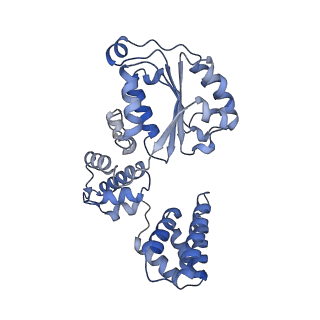 25615_7tku_D_v1-1
Structure of the yeast clamp loader (Replication Factor C RFC) bound to the open sliding clamp (Proliferating Cell Nuclear Antigen PCNA)