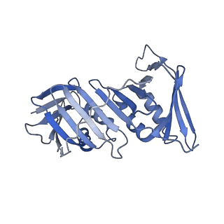 25615_7tku_F_v1-1
Structure of the yeast clamp loader (Replication Factor C RFC) bound to the open sliding clamp (Proliferating Cell Nuclear Antigen PCNA)