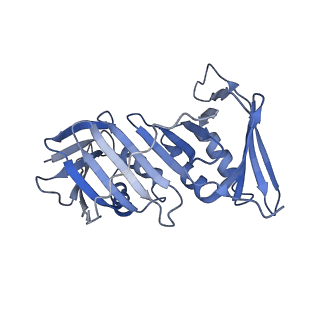 25615_7tku_F_v1-2
Structure of the yeast clamp loader (Replication Factor C RFC) bound to the open sliding clamp (Proliferating Cell Nuclear Antigen PCNA)