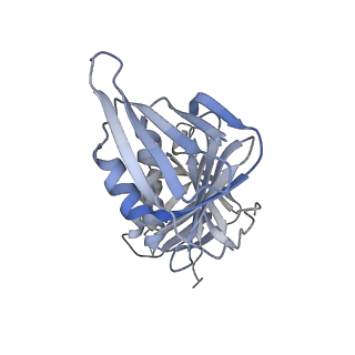 25615_7tku_G_v1-1
Structure of the yeast clamp loader (Replication Factor C RFC) bound to the open sliding clamp (Proliferating Cell Nuclear Antigen PCNA)