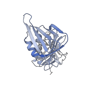 25615_7tku_G_v1-2
Structure of the yeast clamp loader (Replication Factor C RFC) bound to the open sliding clamp (Proliferating Cell Nuclear Antigen PCNA)