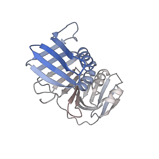 25615_7tku_H_v1-1
Structure of the yeast clamp loader (Replication Factor C RFC) bound to the open sliding clamp (Proliferating Cell Nuclear Antigen PCNA)