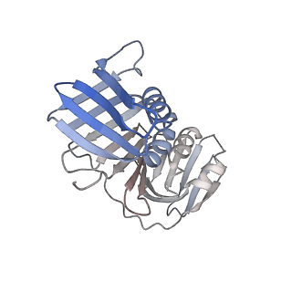 25615_7tku_H_v1-2
Structure of the yeast clamp loader (Replication Factor C RFC) bound to the open sliding clamp (Proliferating Cell Nuclear Antigen PCNA)