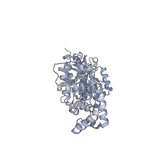 25948_7tk0_B_v1-1
Yeast ATP synthase State 1catalytic(c) without exogenous ATP backbone model