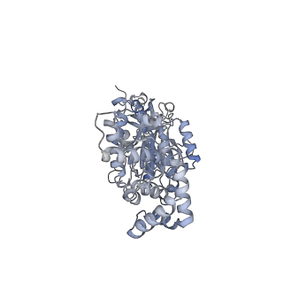 25948_7tk0_B_v1-2
Yeast ATP synthase State 1catalytic(c) without exogenous ATP backbone model