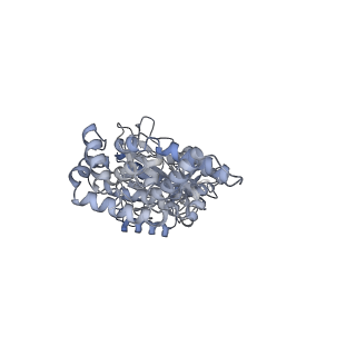 25948_7tk0_C_v1-1
Yeast ATP synthase State 1catalytic(c) without exogenous ATP backbone model