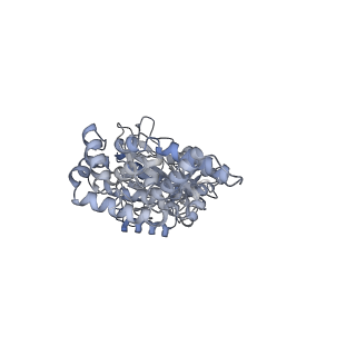 25948_7tk0_C_v1-2
Yeast ATP synthase State 1catalytic(c) without exogenous ATP backbone model