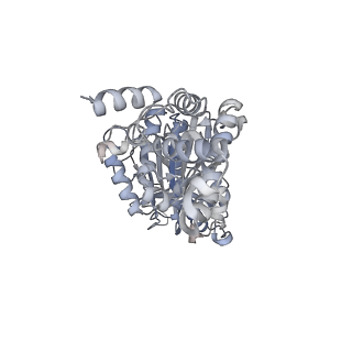 25948_7tk0_D_v1-1
Yeast ATP synthase State 1catalytic(c) without exogenous ATP backbone model