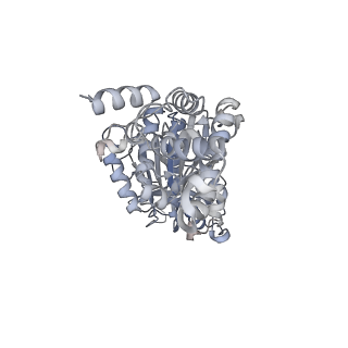 25948_7tk0_D_v1-2
Yeast ATP synthase State 1catalytic(c) without exogenous ATP backbone model