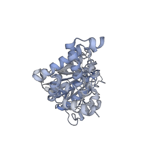 25948_7tk0_F_v1-1
Yeast ATP synthase State 1catalytic(c) without exogenous ATP backbone model