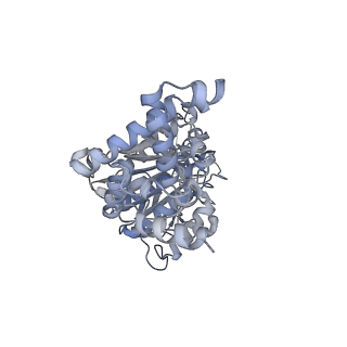 25948_7tk0_F_v1-2
Yeast ATP synthase State 1catalytic(c) without exogenous ATP backbone model