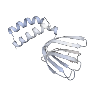 25948_7tk0_H_v1-2
Yeast ATP synthase State 1catalytic(c) without exogenous ATP backbone model