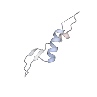 25948_7tk0_I_v1-2
Yeast ATP synthase State 1catalytic(c) without exogenous ATP backbone model