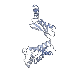 25948_7tk0_O_v1-2
Yeast ATP synthase State 1catalytic(c) without exogenous ATP backbone model