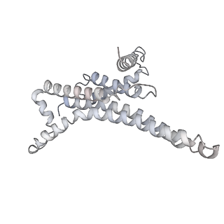 25948_7tk0_T_v1-1
Yeast ATP synthase State 1catalytic(c) without exogenous ATP backbone model