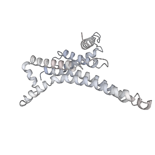 25948_7tk0_T_v1-2
Yeast ATP synthase State 1catalytic(c) without exogenous ATP backbone model