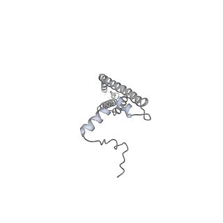 25948_7tk0_V_v1-2
Yeast ATP synthase State 1catalytic(c) without exogenous ATP backbone model