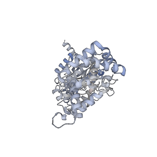25960_7tk8_A_v1-1
Yeast ATP synthase State 1catalytic(c) with 10 mM ATP backbone model