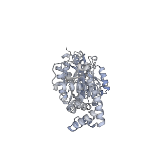 25960_7tk8_B_v1-1
Yeast ATP synthase State 1catalytic(c) with 10 mM ATP backbone model