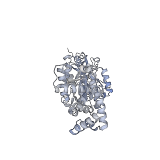 25960_7tk8_B_v1-2
Yeast ATP synthase State 1catalytic(c) with 10 mM ATP backbone model