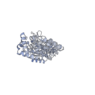 25960_7tk8_C_v1-1
Yeast ATP synthase State 1catalytic(c) with 10 mM ATP backbone model
