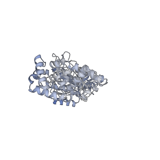 25960_7tk8_C_v1-2
Yeast ATP synthase State 1catalytic(c) with 10 mM ATP backbone model