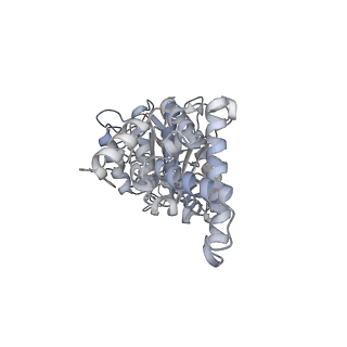 25960_7tk8_D_v1-1
Yeast ATP synthase State 1catalytic(c) with 10 mM ATP backbone model