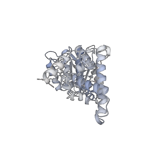 25960_7tk8_D_v1-2
Yeast ATP synthase State 1catalytic(c) with 10 mM ATP backbone model