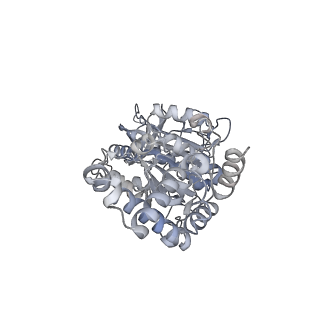 25960_7tk8_E_v1-2
Yeast ATP synthase State 1catalytic(c) with 10 mM ATP backbone model