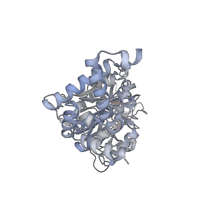 25960_7tk8_F_v1-1
Yeast ATP synthase State 1catalytic(c) with 10 mM ATP backbone model