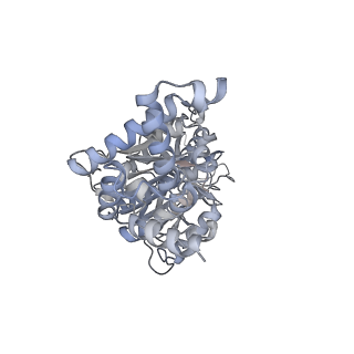 25960_7tk8_F_v1-2
Yeast ATP synthase State 1catalytic(c) with 10 mM ATP backbone model