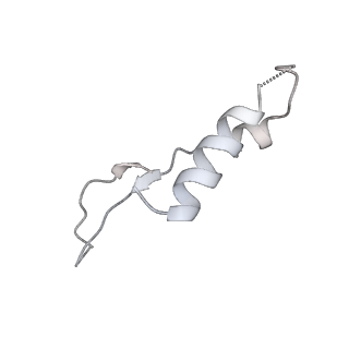 25960_7tk8_I_v1-1
Yeast ATP synthase State 1catalytic(c) with 10 mM ATP backbone model