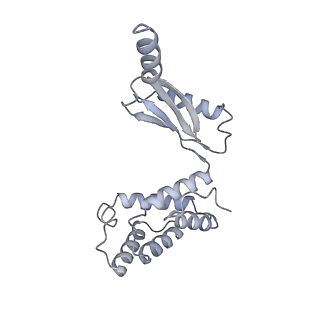 25960_7tk8_O_v1-1
Yeast ATP synthase State 1catalytic(c) with 10 mM ATP backbone model