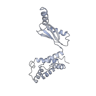 25960_7tk8_O_v1-2
Yeast ATP synthase State 1catalytic(c) with 10 mM ATP backbone model