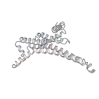 25960_7tk8_T_v1-1
Yeast ATP synthase State 1catalytic(c) with 10 mM ATP backbone model