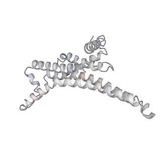 25960_7tk8_T_v1-2
Yeast ATP synthase State 1catalytic(c) with 10 mM ATP backbone model