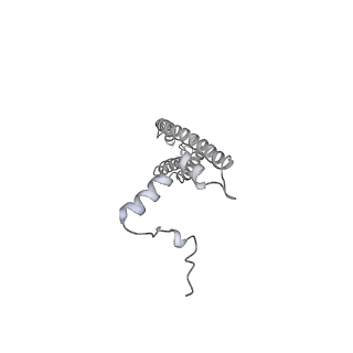 25960_7tk8_V_v1-1
Yeast ATP synthase State 1catalytic(c) with 10 mM ATP backbone model