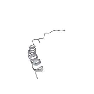 25960_7tk8_Y_v1-2
Yeast ATP synthase State 1catalytic(c) with 10 mM ATP backbone model