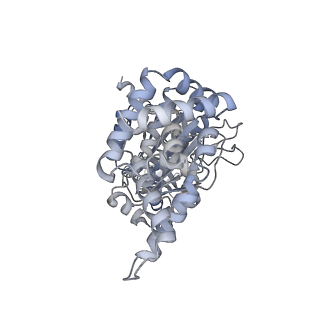 25968_7tkg_A_v1-1
Yeast ATP synthase State 2catalytic(a) with 10 mM ATP backbone model