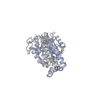 25968_7tkg_B_v1-0
Yeast ATP synthase State 2catalytic(a) with 10 mM ATP backbone model