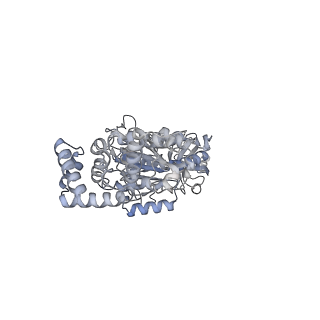 25968_7tkg_C_v1-0
Yeast ATP synthase State 2catalytic(a) with 10 mM ATP backbone model
