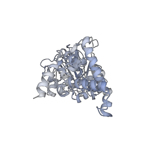 25968_7tkg_D_v1-0
Yeast ATP synthase State 2catalytic(a) with 10 mM ATP backbone model