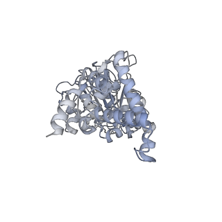 25968_7tkg_D_v1-1
Yeast ATP synthase State 2catalytic(a) with 10 mM ATP backbone model