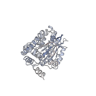 25968_7tkg_F_v1-0
Yeast ATP synthase State 2catalytic(a) with 10 mM ATP backbone model