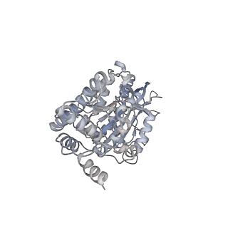 25968_7tkg_F_v1-1
Yeast ATP synthase State 2catalytic(a) with 10 mM ATP backbone model
